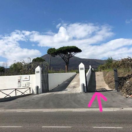 Pietramiliare Apartment Trecase Bagian luar foto