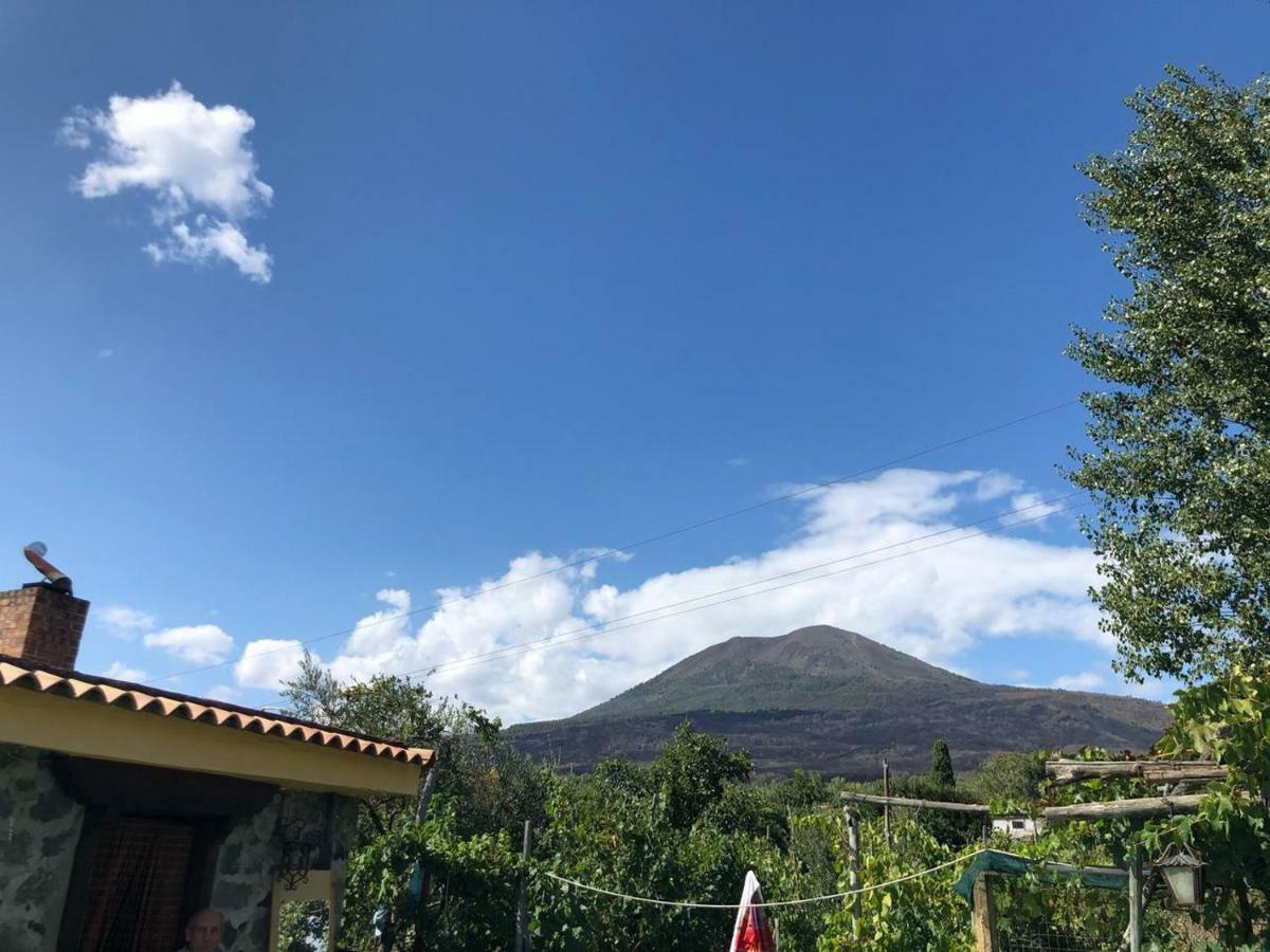 Pietramiliare Apartment Trecase Bagian luar foto