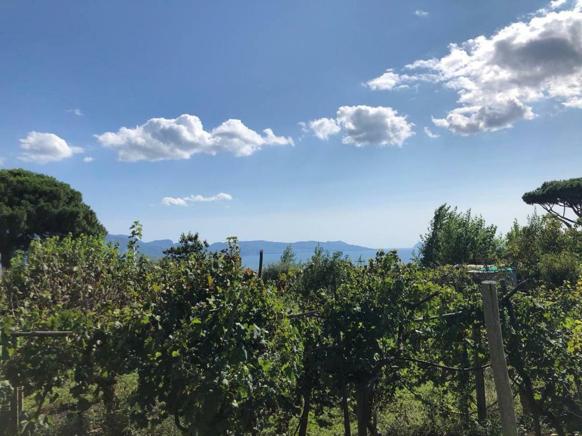 Pietramiliare Apartment Trecase Bagian luar foto