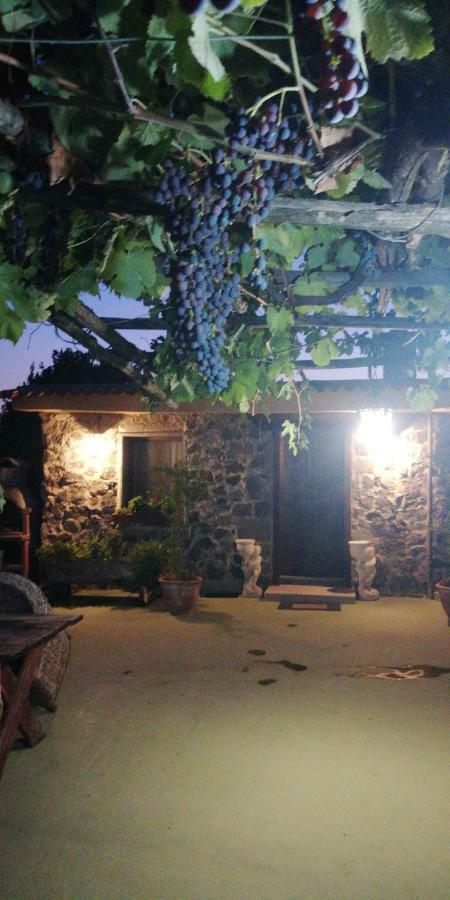 Pietramiliare Apartment Trecase Bagian luar foto