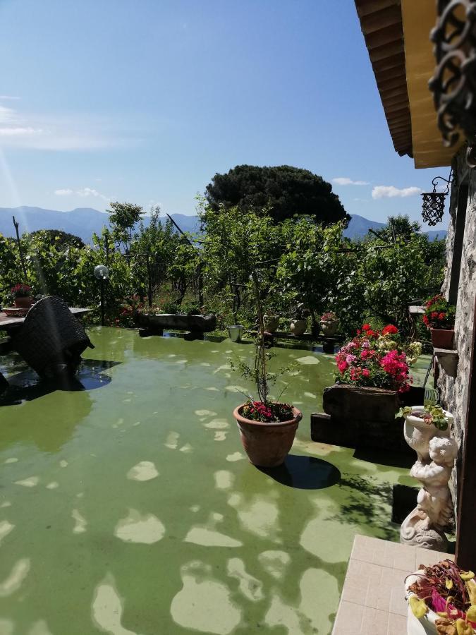 Pietramiliare Apartment Trecase Bagian luar foto